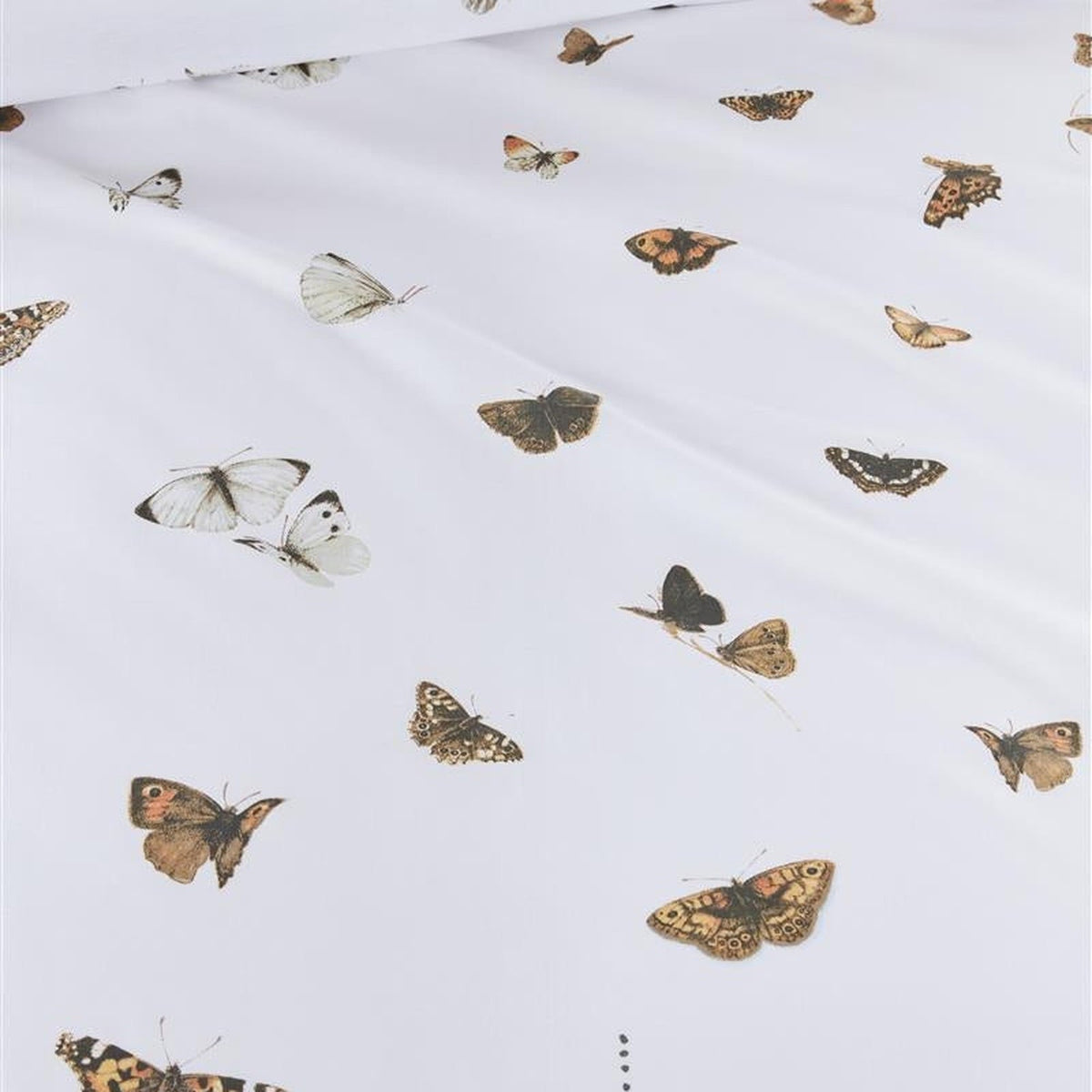 Marjolein Bastin