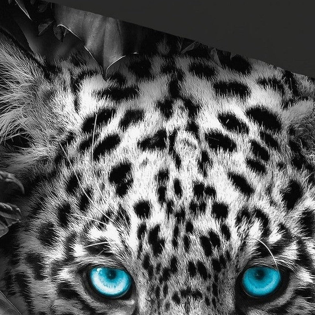 Pure dekbedovertrek Microfiber Blue Eyes, Anthracite